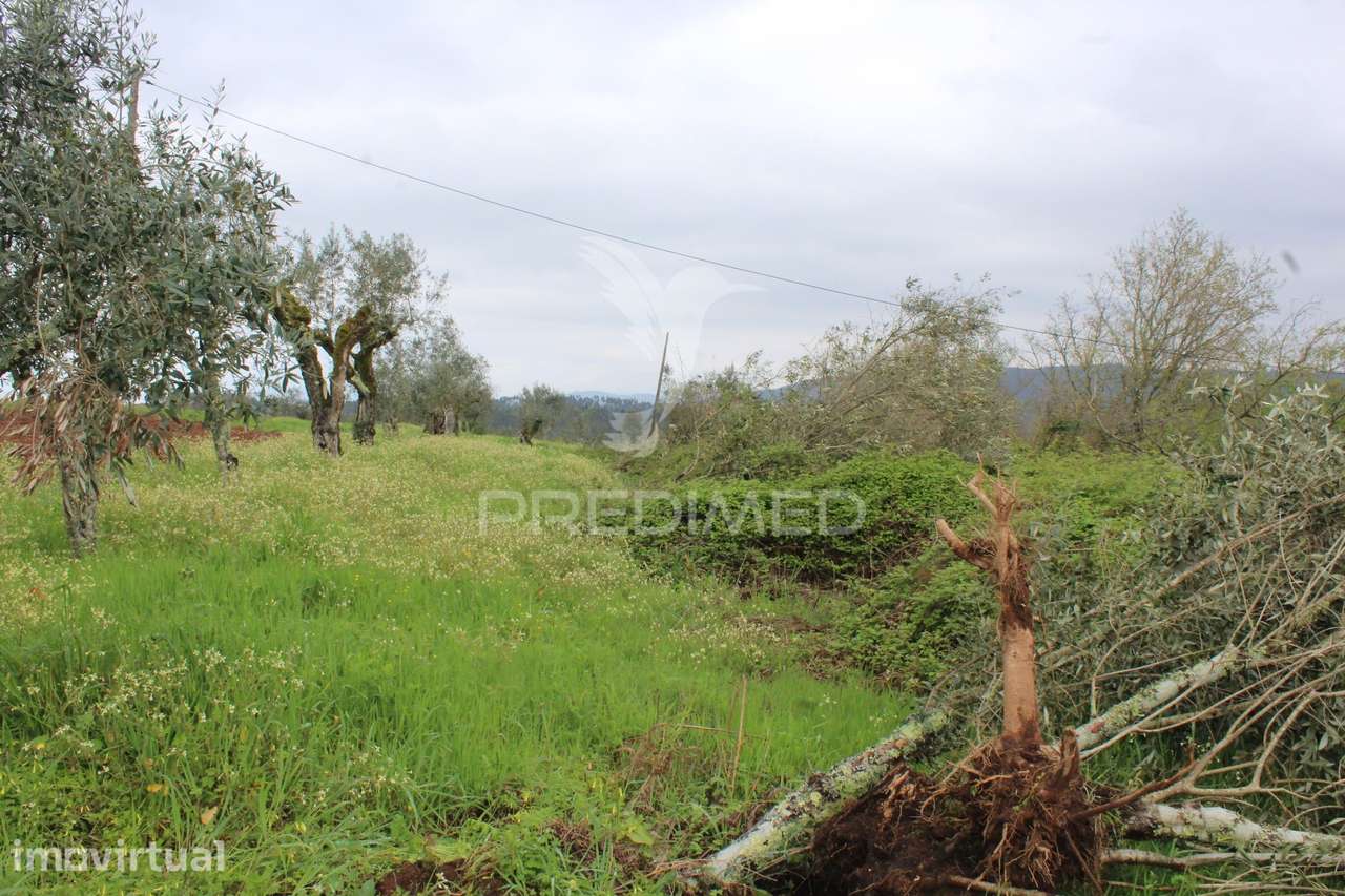 Terreno para construção - Grande imagem: 2/3