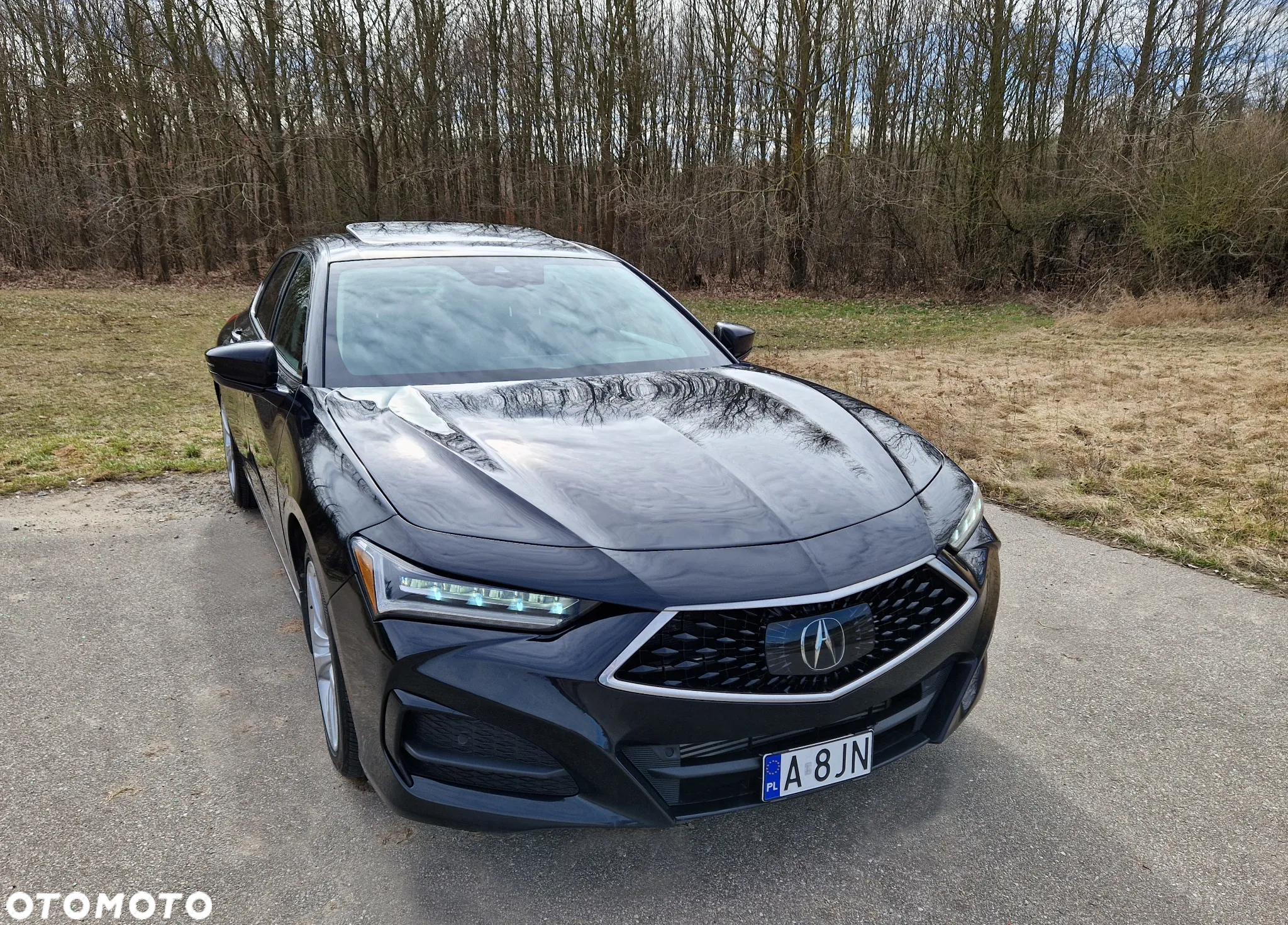 Honda Inny - 3