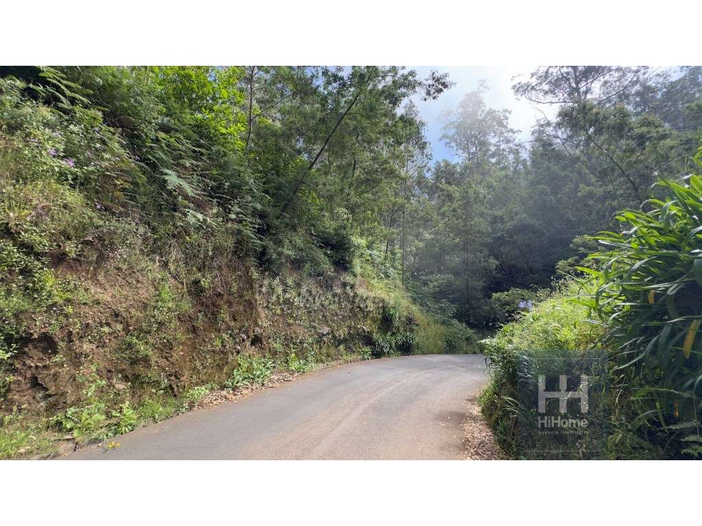 Terreno rústico no Caminho dos Pretos | Funchal - Grande imagem: 3/22