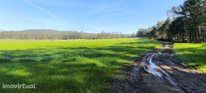 Terreno agrícola à venda – Rio Mau, Vila do Conde – 37.544 m² - Grande imagem: 3/4