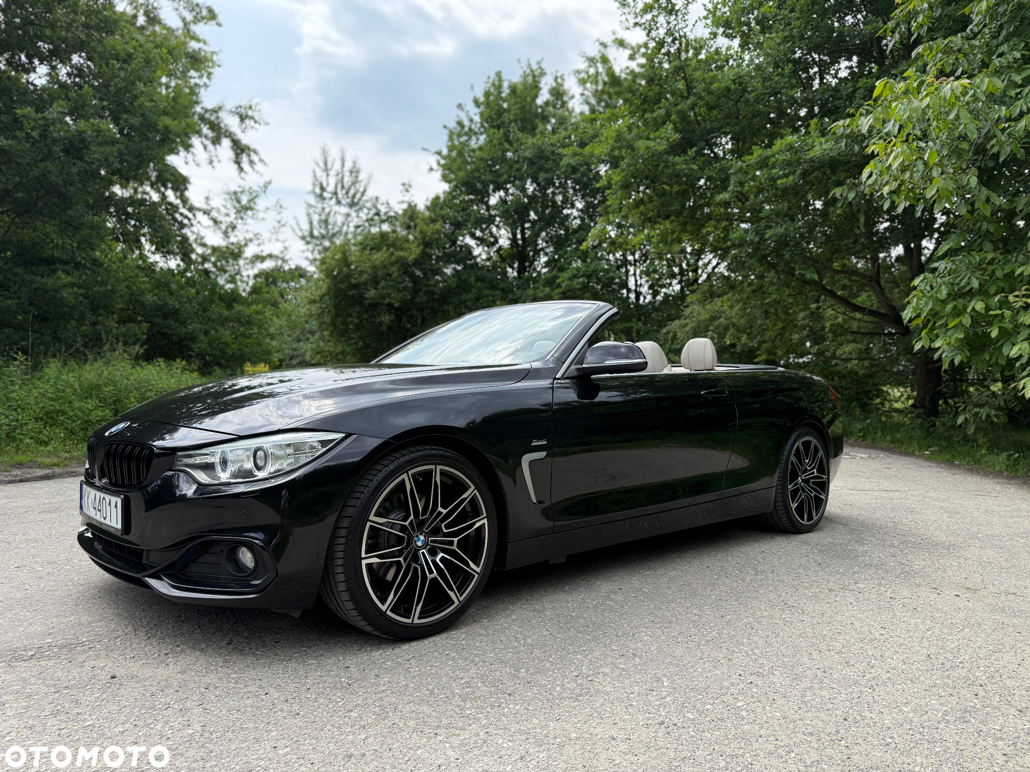 BMW Seria 4 420d Cabrio Sport-Aut Sport Line - 9
