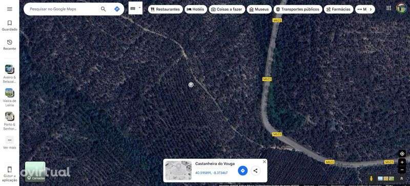 Eucaliptal/ Terreno - Grande imagem: 2/2