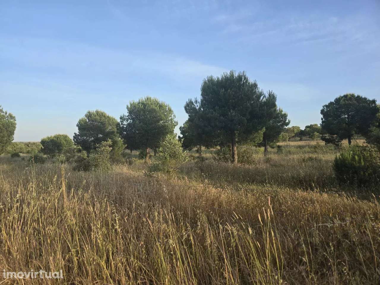 Baixo Alentejo – 55,9 ha de Liberdade e Potencial no Baixo Alentejo - Grande imagem: 2/8