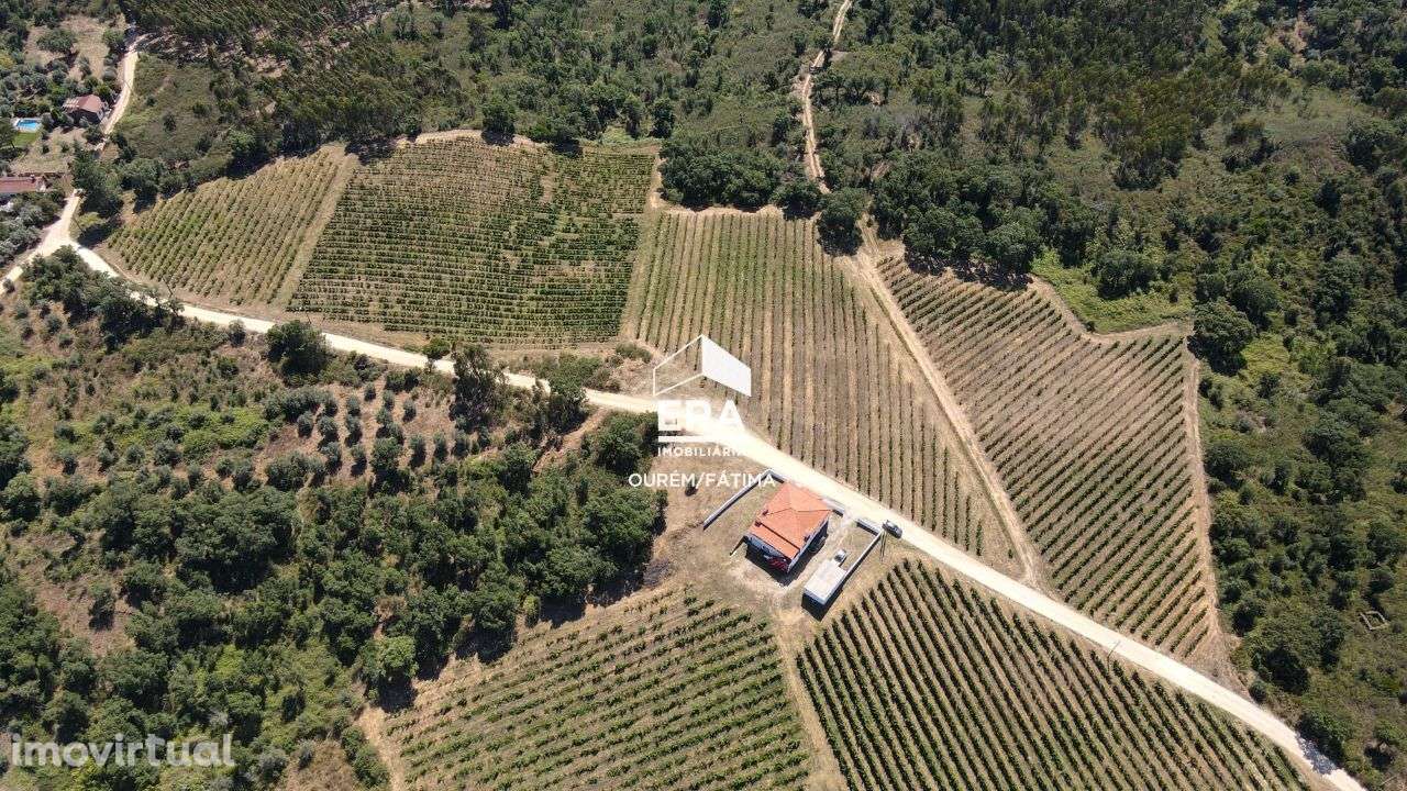 Terreno localizado na Serra, Tomar - Grande imagem: 2/25