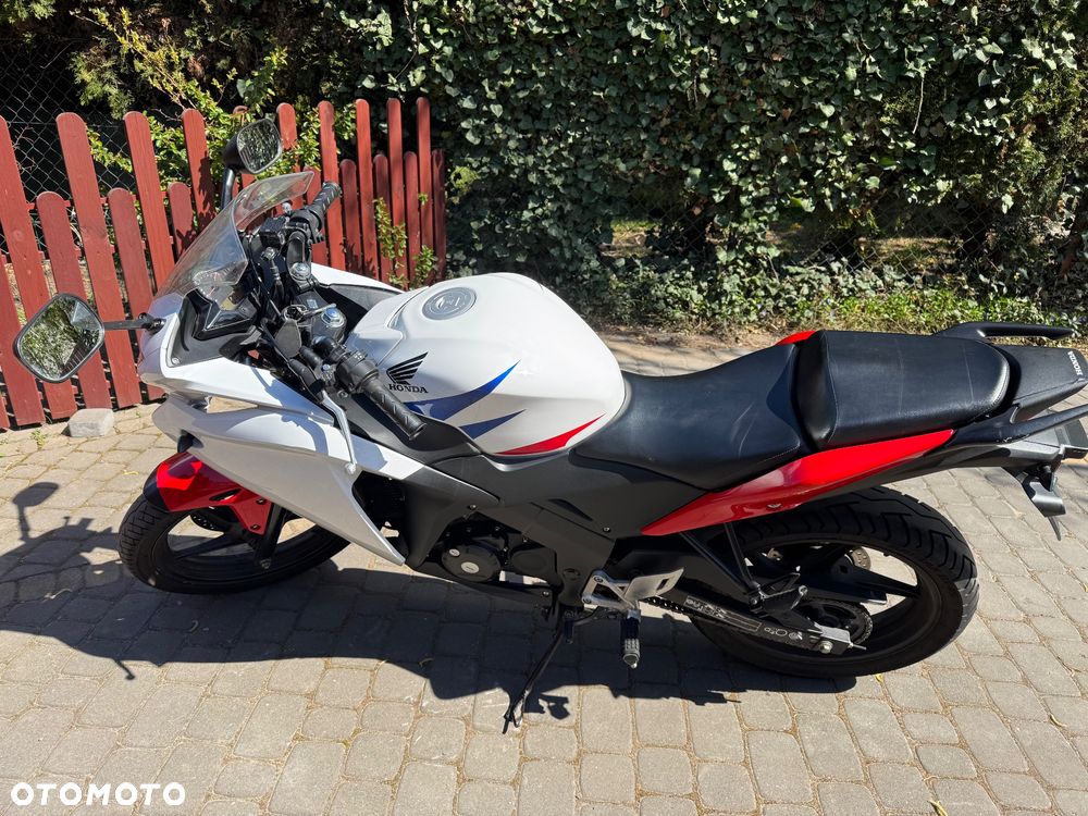 Honda CBR - 6