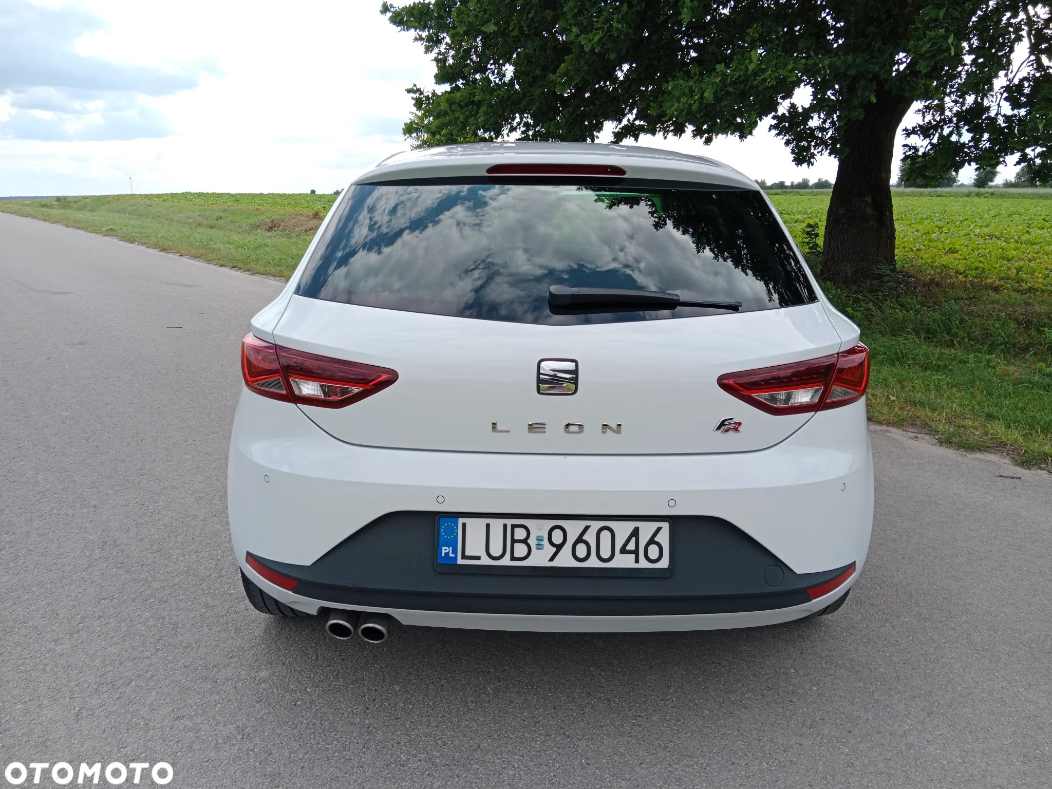 Seat Leon - 14