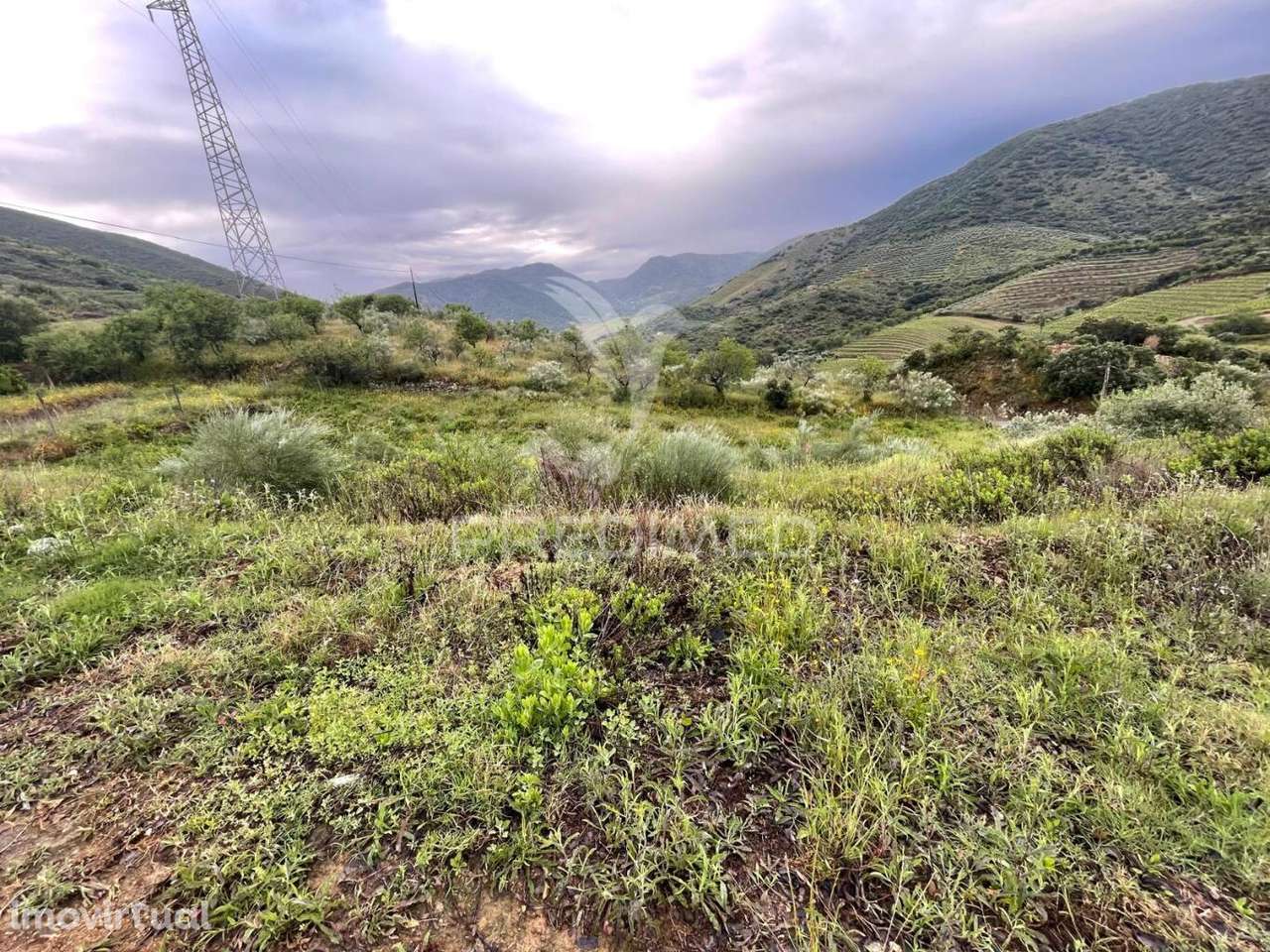 Quinta Agrícola com 2,3 Hectares em Murça | Vila Nova de Foz Côa - Grande imagem: 3/7