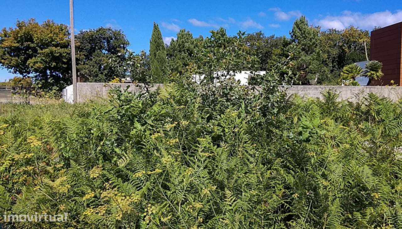 Terreno para construção em Afife, Viana do Castelo - Grande imagem: 5/21
