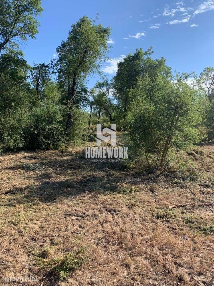 Lote de Terreno urbano – Palmela - Grande imagem: 3/9