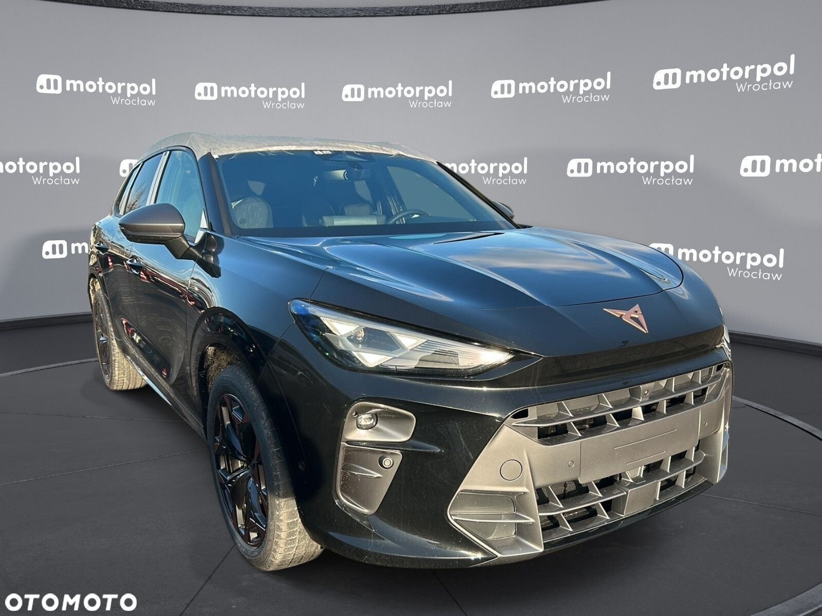 Cupra Terramar - 12