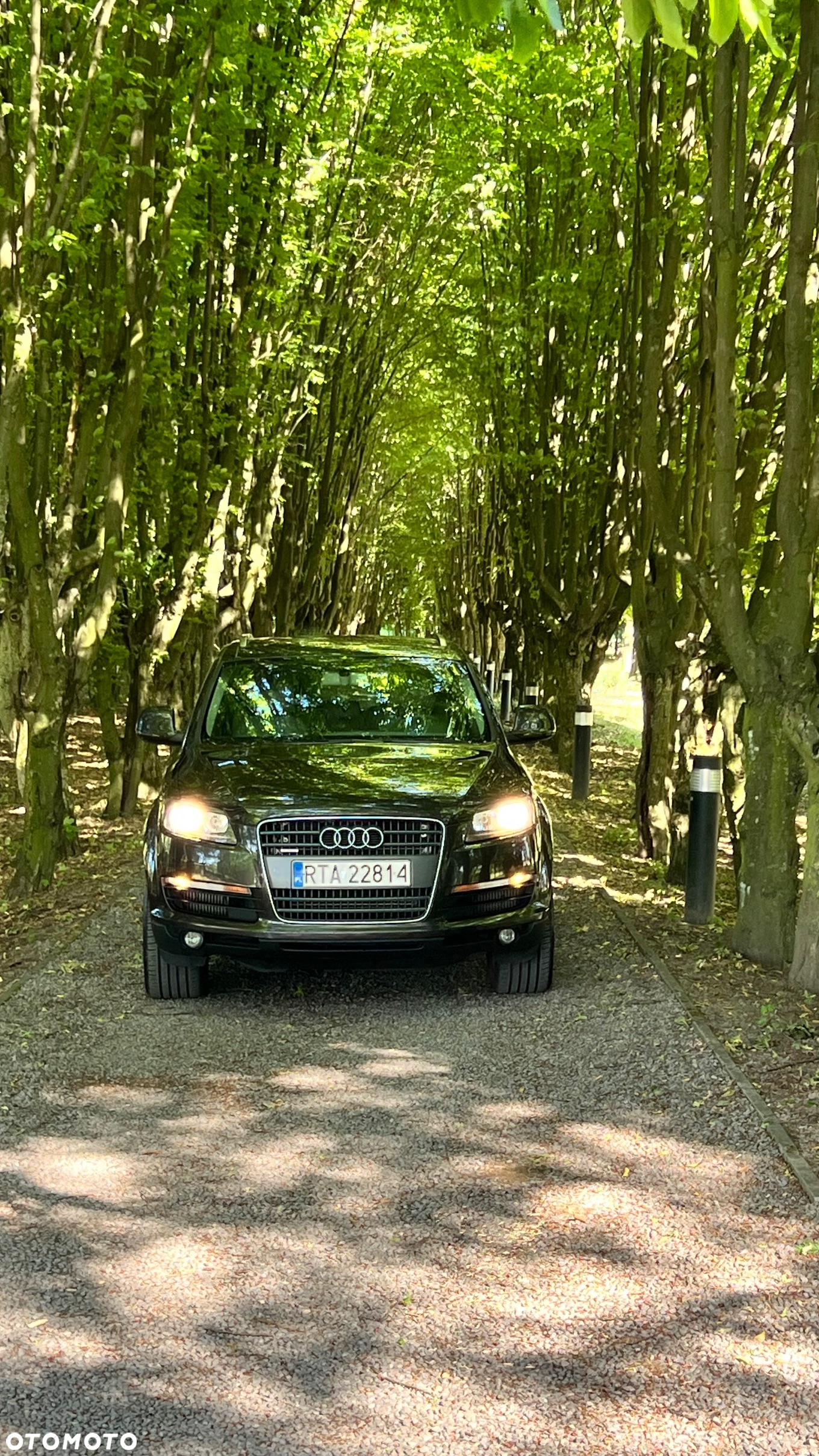 Audi Q7 3.0 TDI Quattro Tiptronic - 21