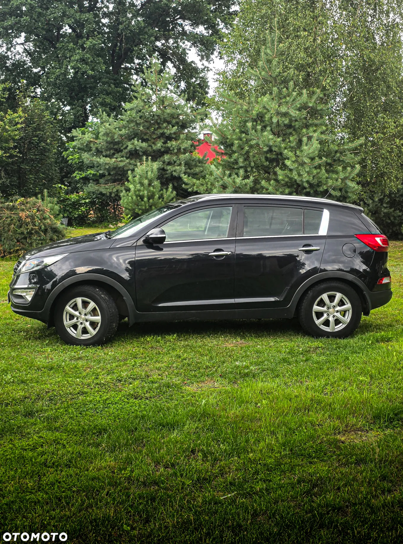 Kia Sportage - 4