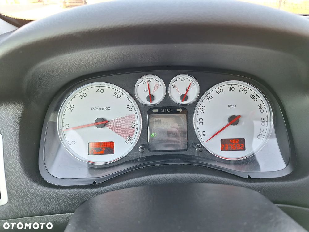 Peugeot 307 2.0 Premium - 29