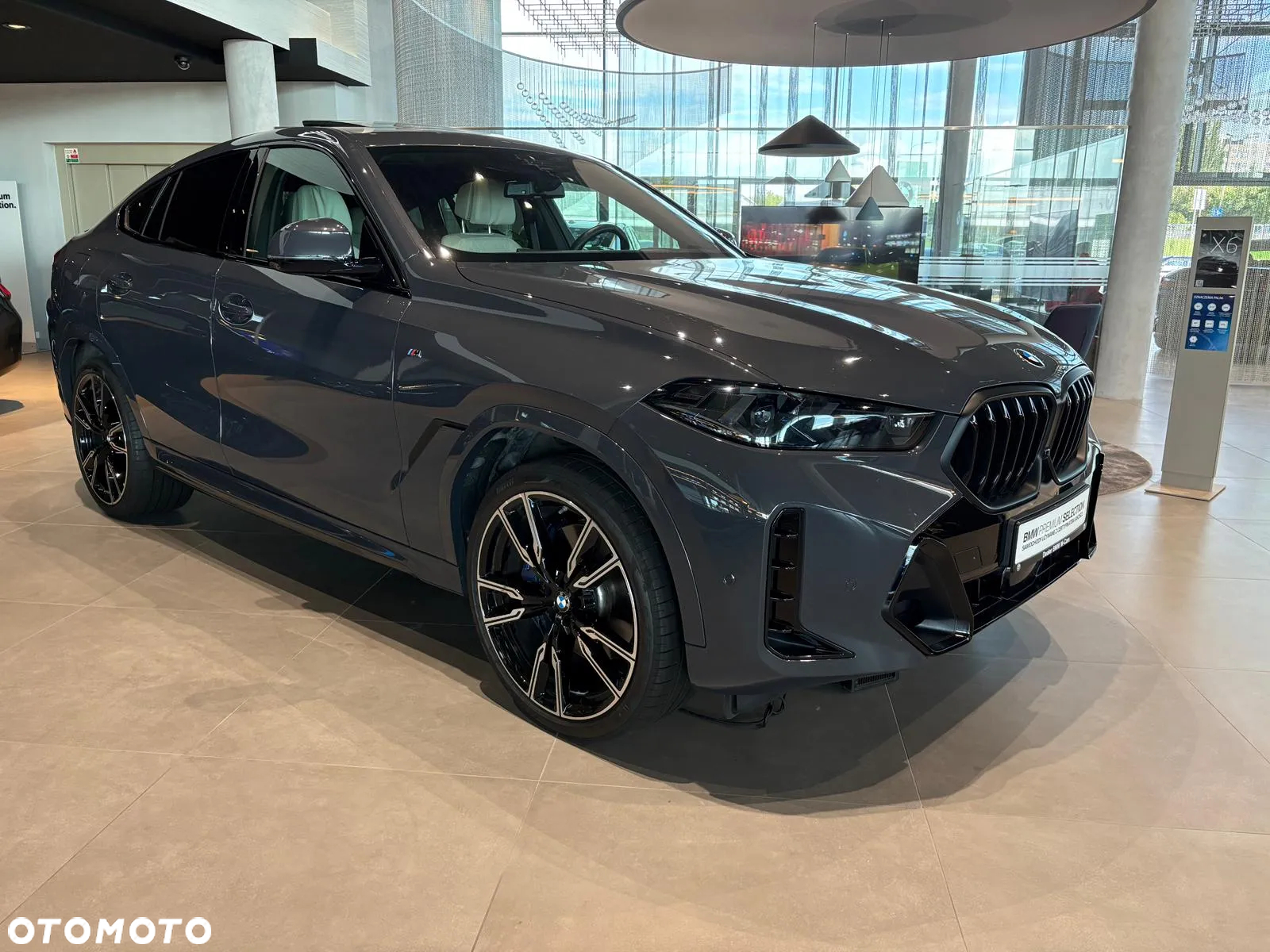 BMW X6 xDrive30d - 8