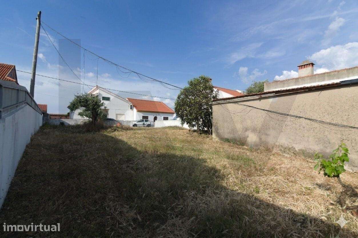 Terreno Urbano com 489 m2 em Arripiado – Chamusca - Grande imagem: 4/6