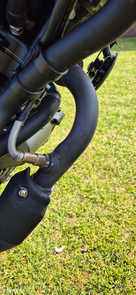 Benelli Leoncino - 10