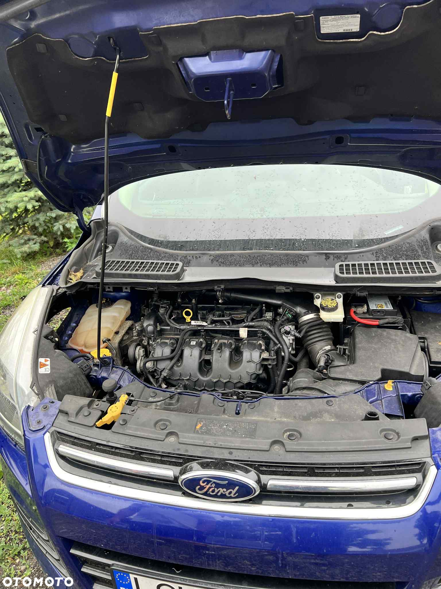 Ford Escape 2.0 EcoBoost AWD Titanium - 8