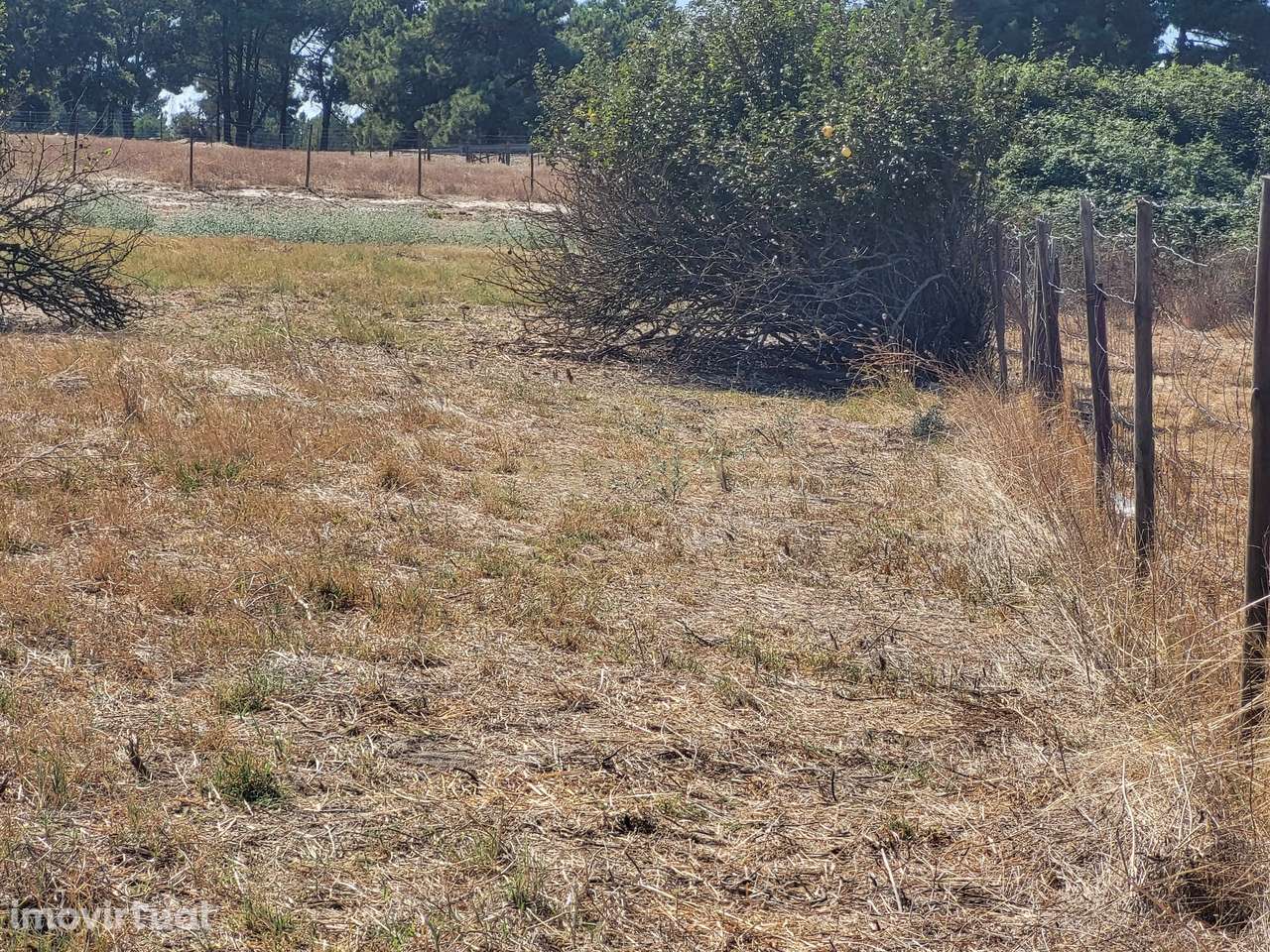 Terreno Rústico - viabilidade construção - Centro Santo António da Cha - Grande imagem: 2/6