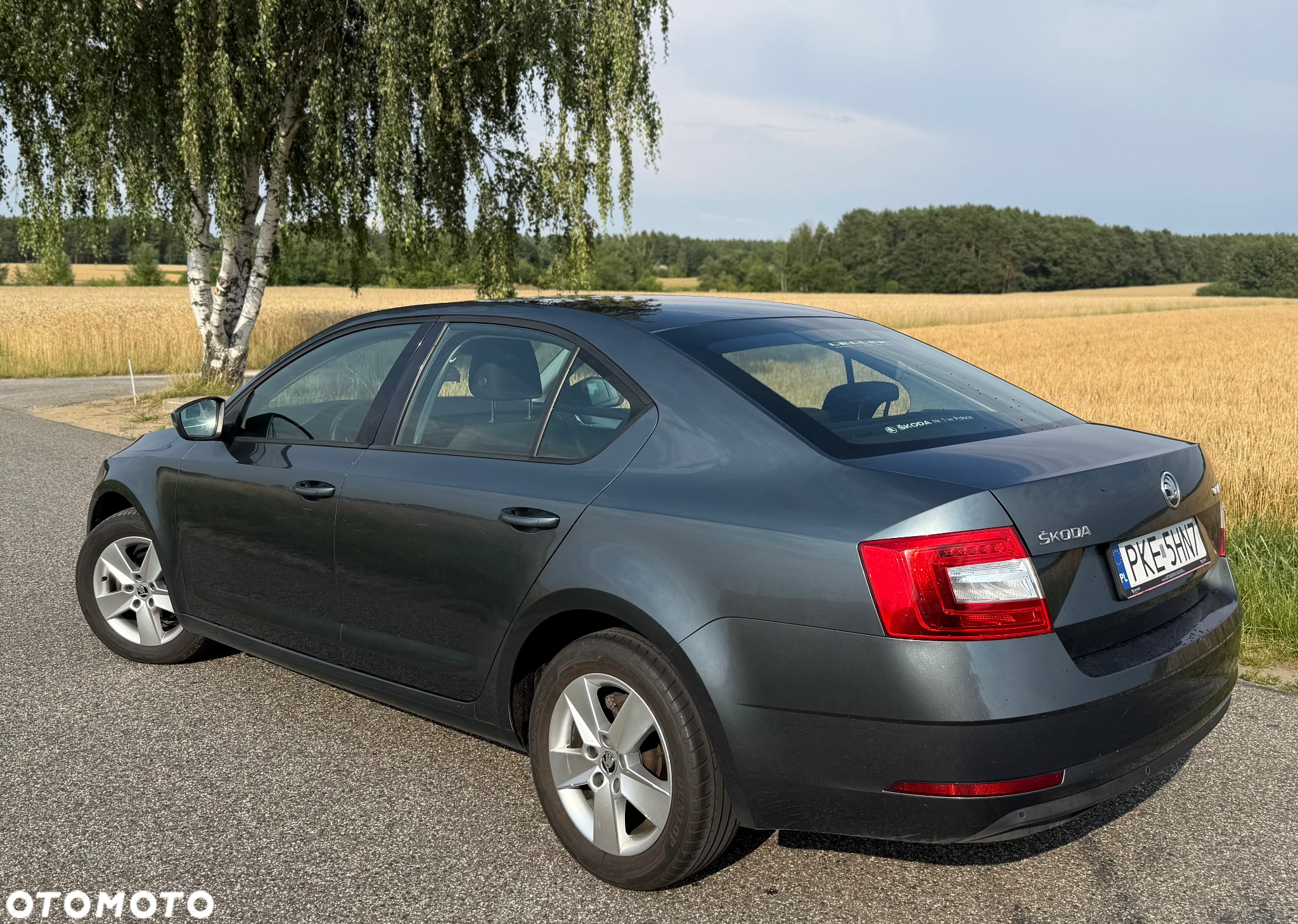 Skoda Octavia 1.6 TDI Active - 3