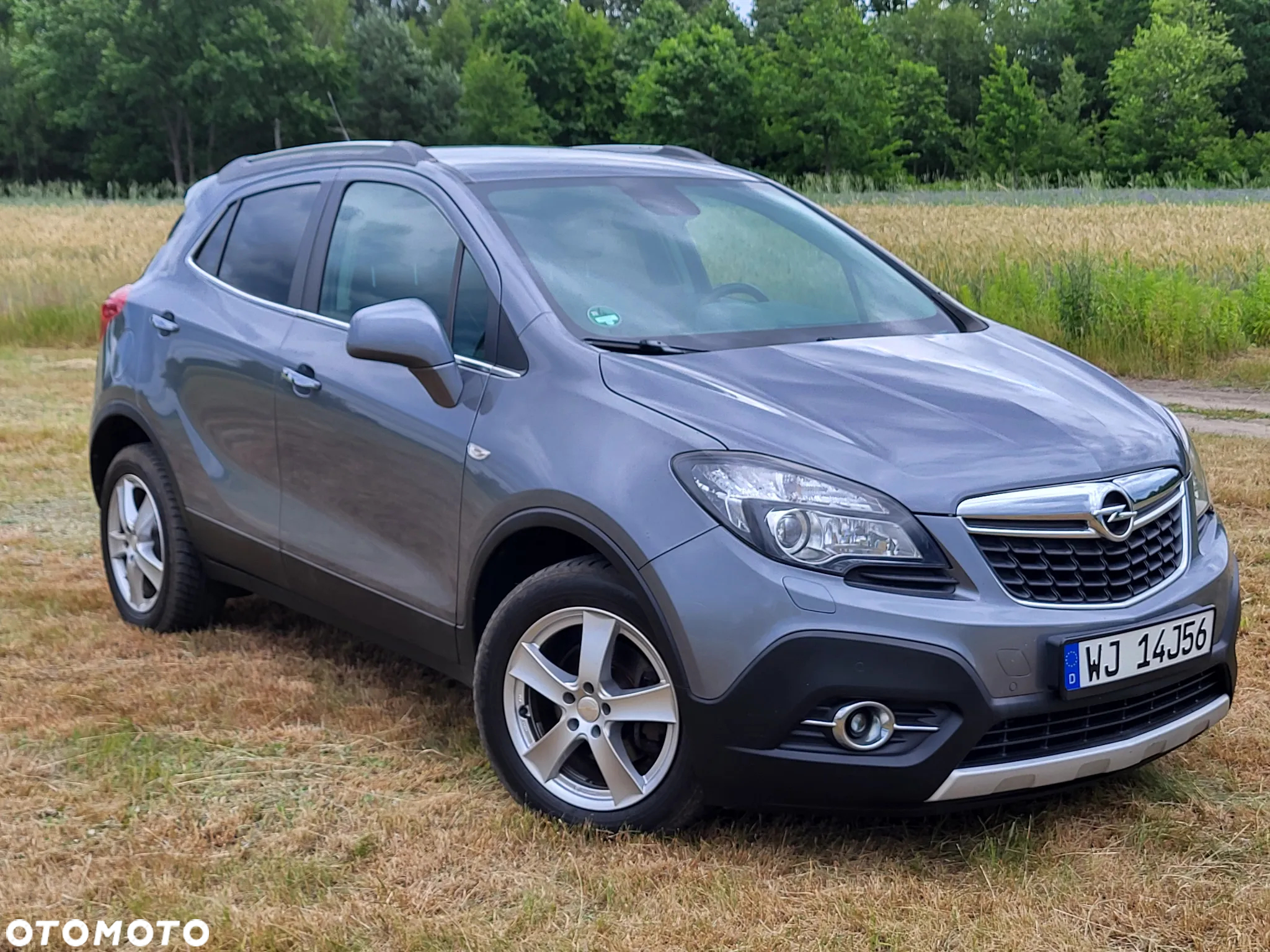 Opel Mokka 1.7 CDTI Cosmo S&S - 14
