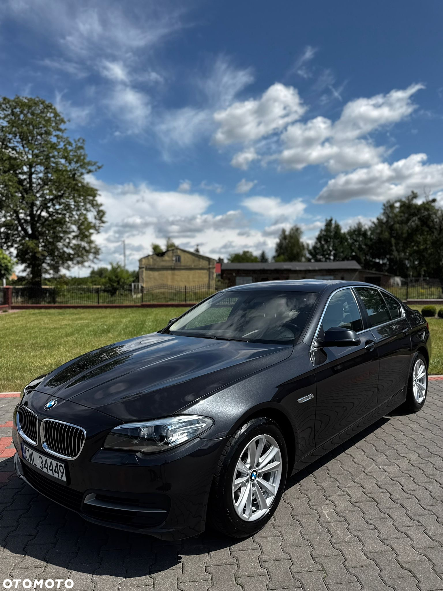 BMW Seria 5 518d Luxury Line - 30
