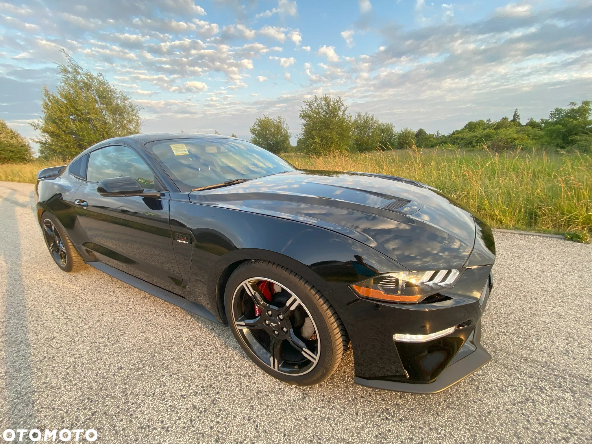 Ford Mustang Fastback 5.0 Ti-VCT V8 GT - 8