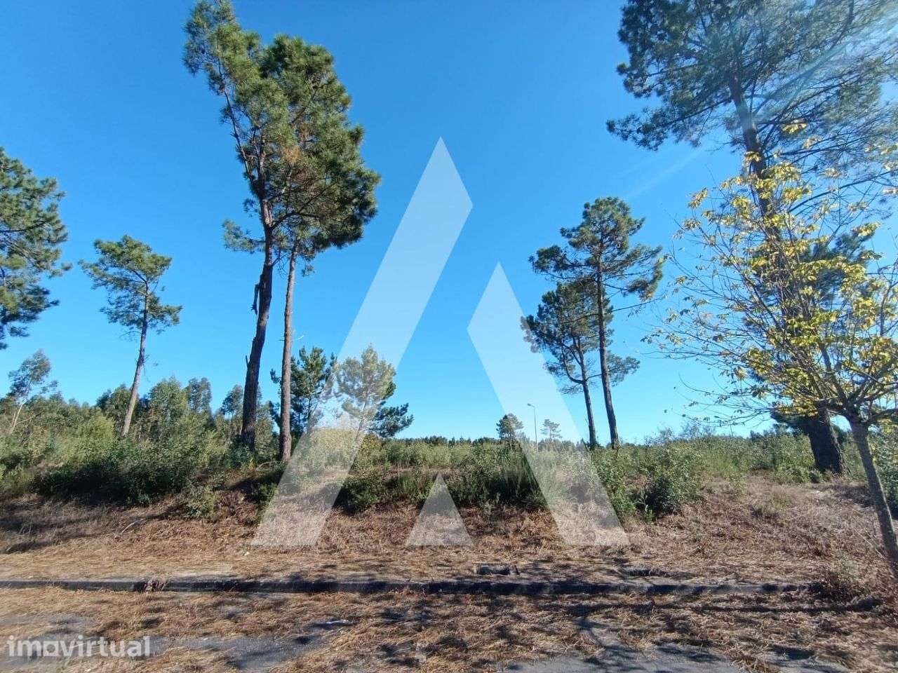 Lote de terreno para construção em Ílhavo junto ao rio Boco - Grande imagem: 5/9
