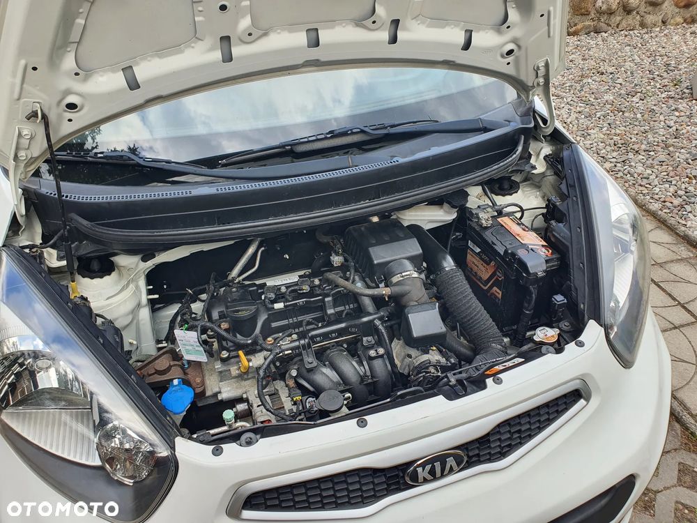 Kia Picanto - 25