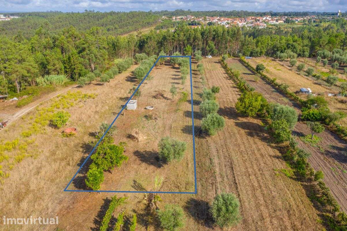 Terreno  para venda - Grande imagem: 5/5