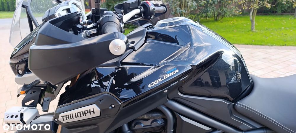 Triumph Tiger - 31