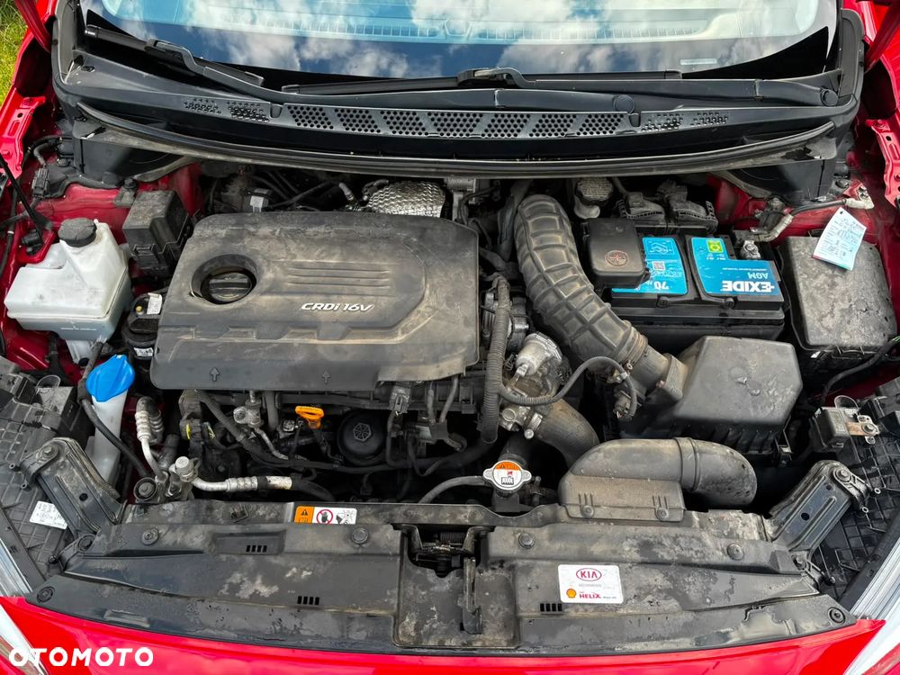 Kia Ceed 1.6 CRDi L Business Line - 13