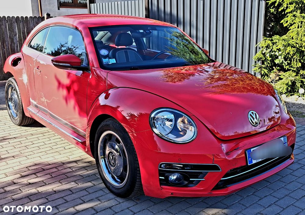 Volkswagen Beetle - 3