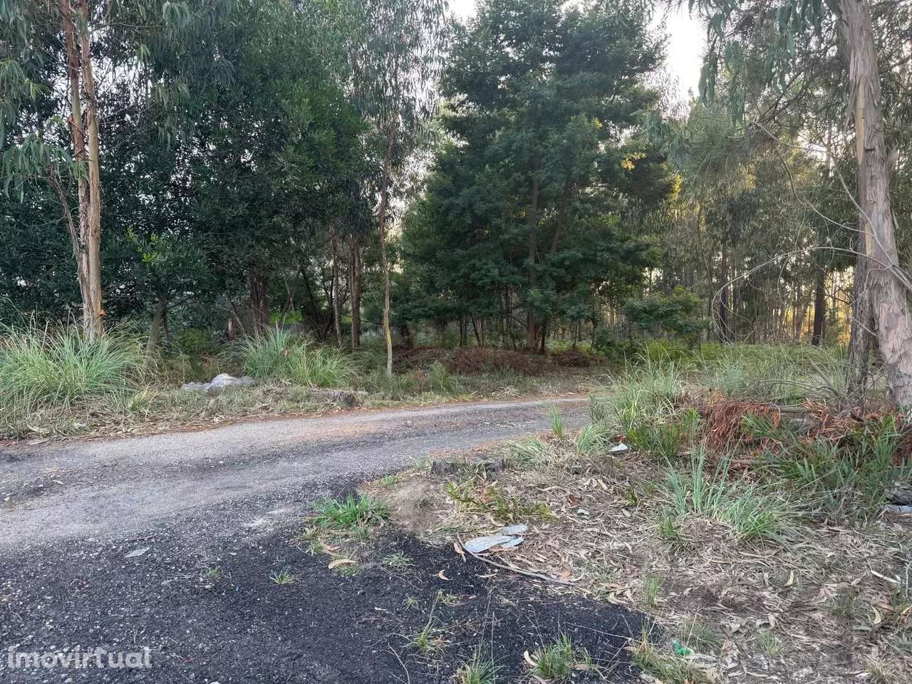 Terreno para armazém em ZI referência - Grande imagem: 4/5