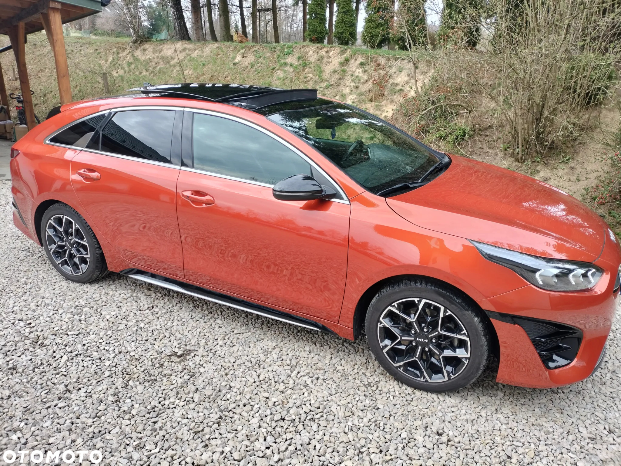 Kia ProCeed 1.5 T-GDI GT Line DCT - 5