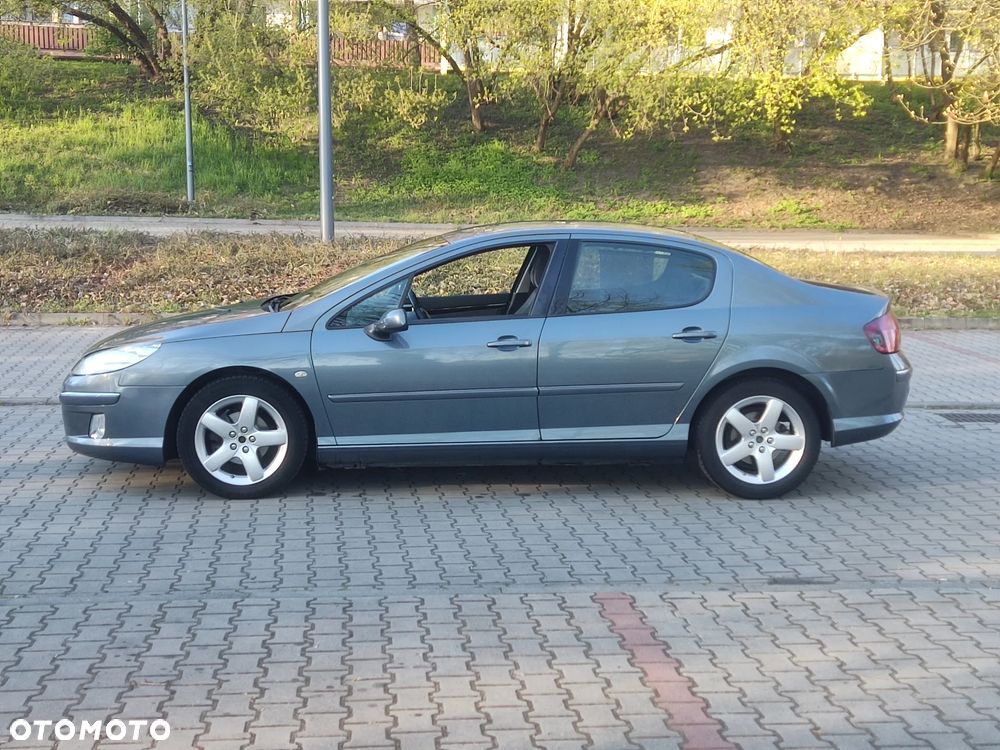 Peugeot 407 - 12