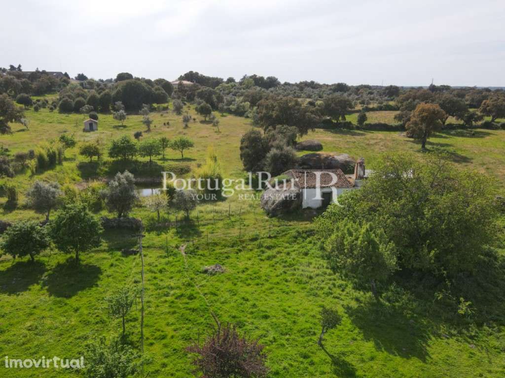 Quinta com cerca de 49.350 m2 - Grande imagem: 2/39