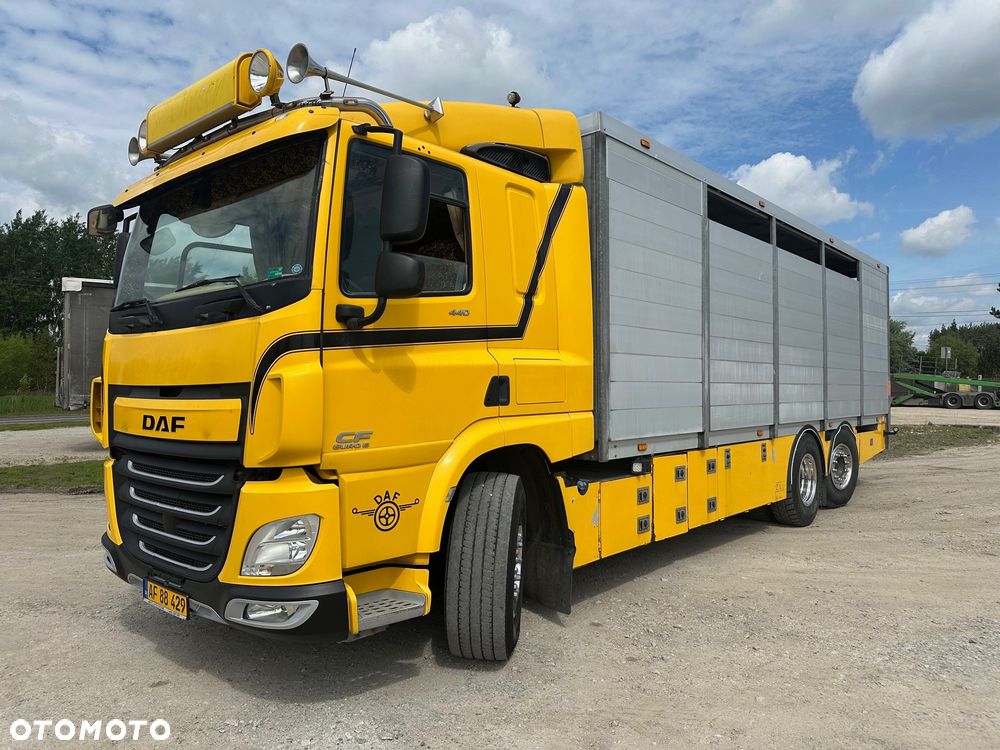 DAF CF 440  DO BYDLA -ZWIERZAT -ZYWCA - 4