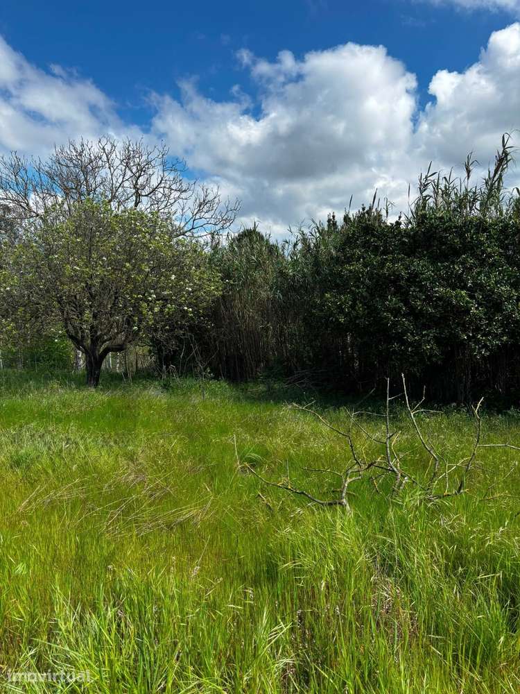 Terreno de 5.880m2 em Malha Urbana | PIP em Processo de Aprovação - Grande imagem: 3/11