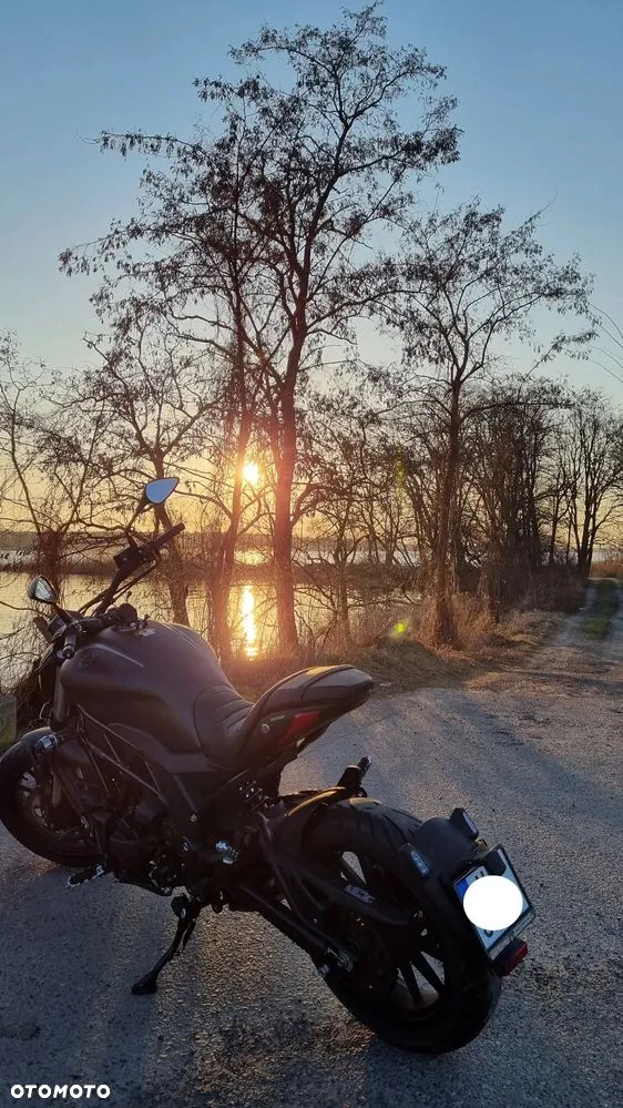 Benelli 502 C - 8
