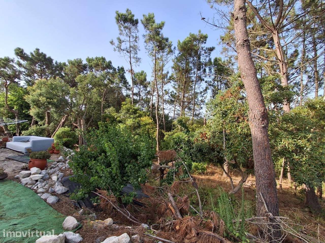 Propriedade Única com 8840m2 com Potencial Infinito de Investimento si - Grande imagem: 5/25