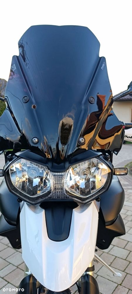 Triumph Tiger - 16