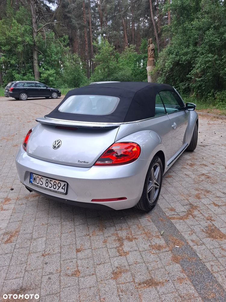 Volkswagen Beetle - 23