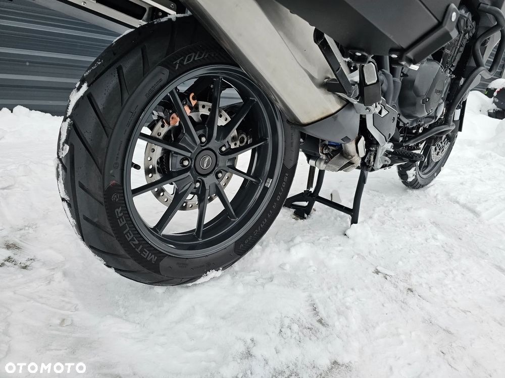 Triumph Tiger - 16