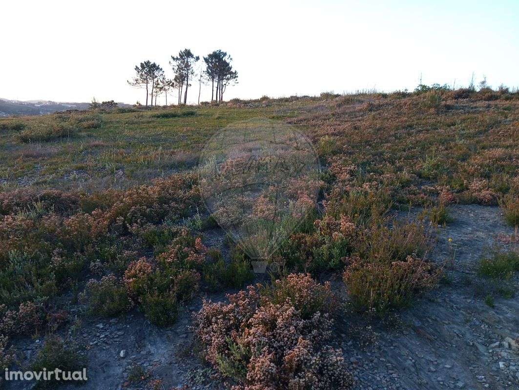 Terreno  para venda - Grande imagem: 2/11