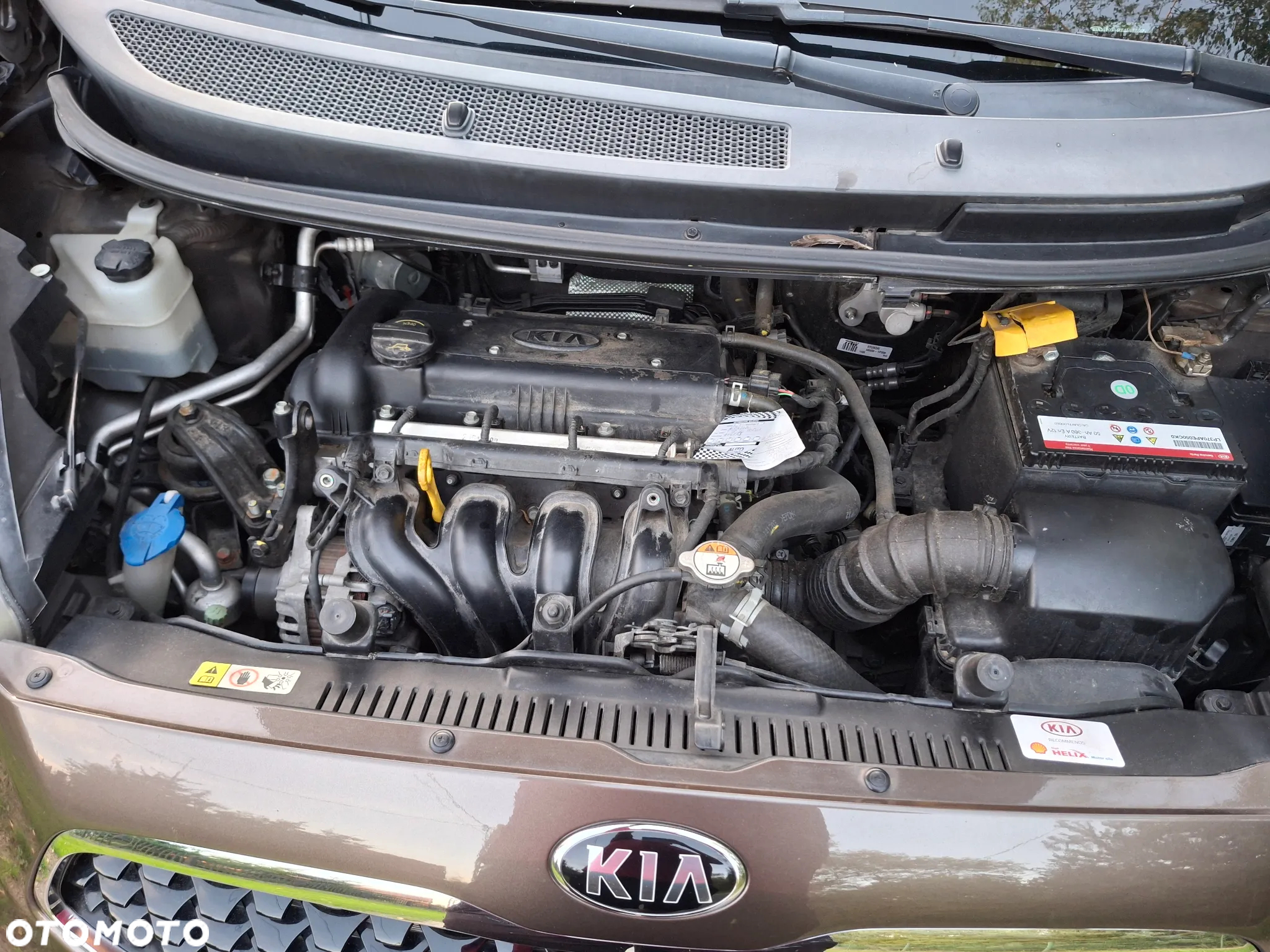 Kia Venga 1.4 CVVT Fifa World Cup Edition - 24