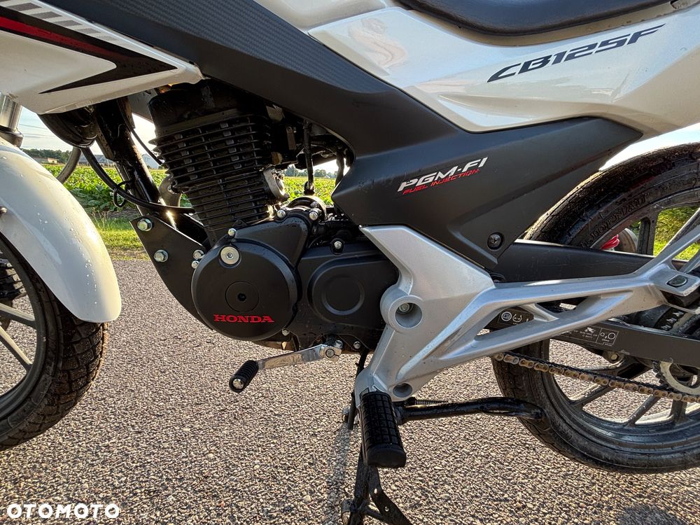 Honda CBF - 6