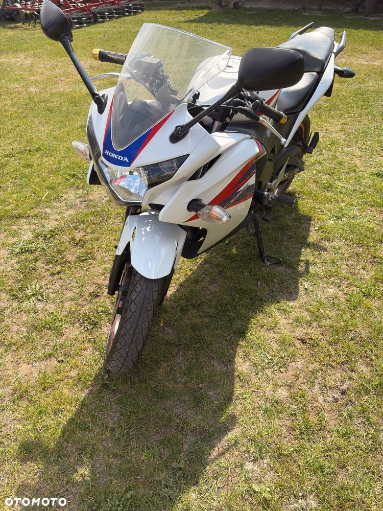 Honda CBR - 7