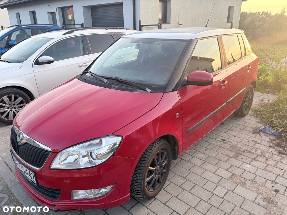 Skoda Fabia 2010 photo 2