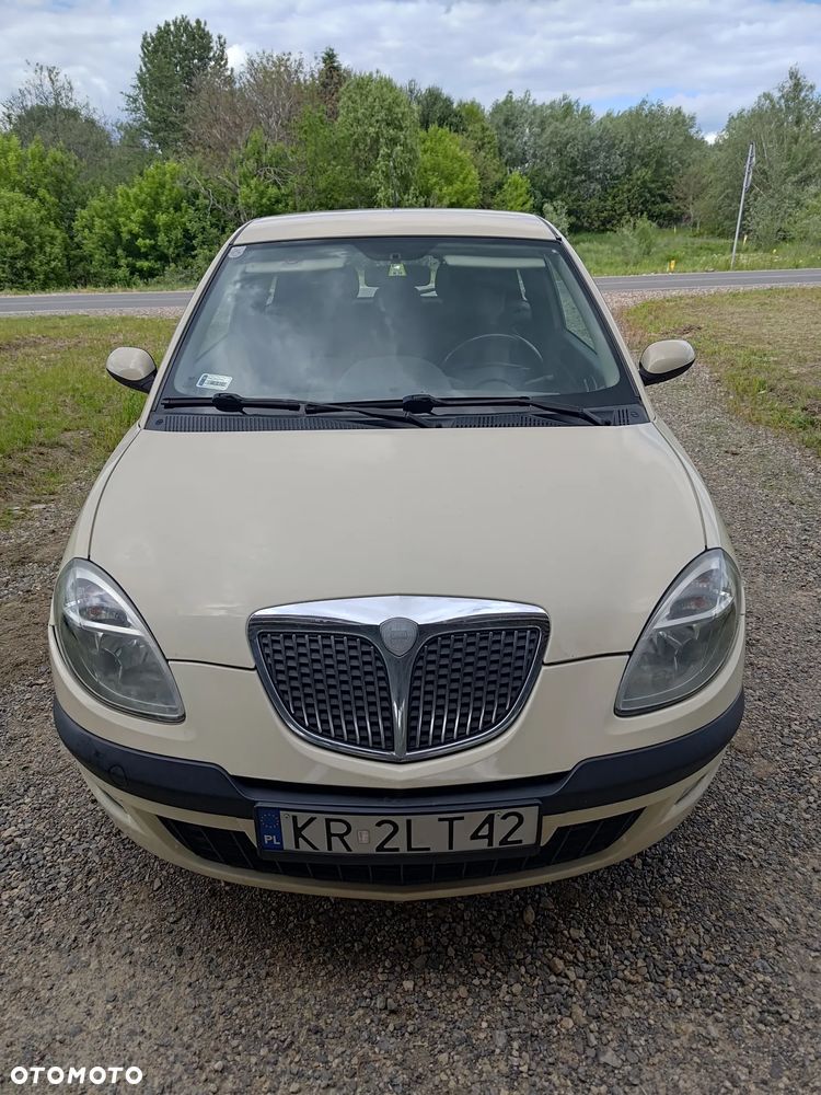 Lancia Ypsilon 1.3JTD Platino - 18