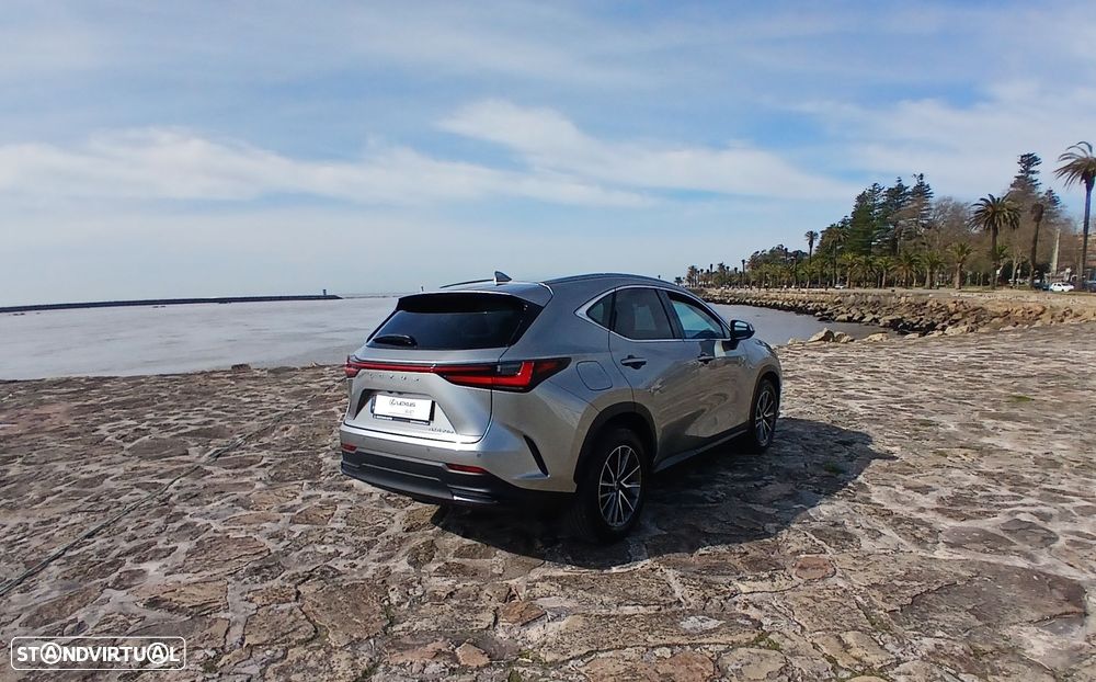 Lexus NX 450h+ - 6